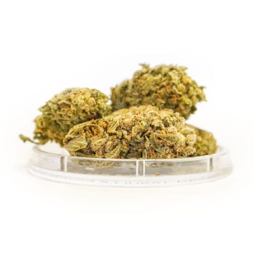 Harlequin 1g  /CBD cannabis/