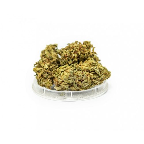 Gorilla Glue 1g  /CBD cannabis/