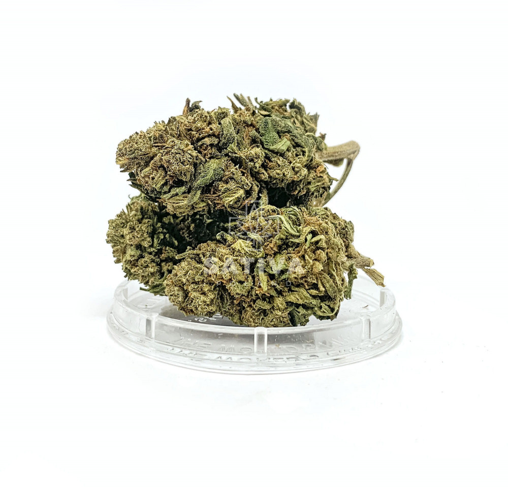 Forest Kush CBD 3,5g /CBD cannabis/