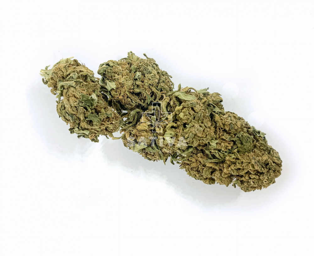 Forest Zkittlez CBD 3,5g /CBD cannabis/
