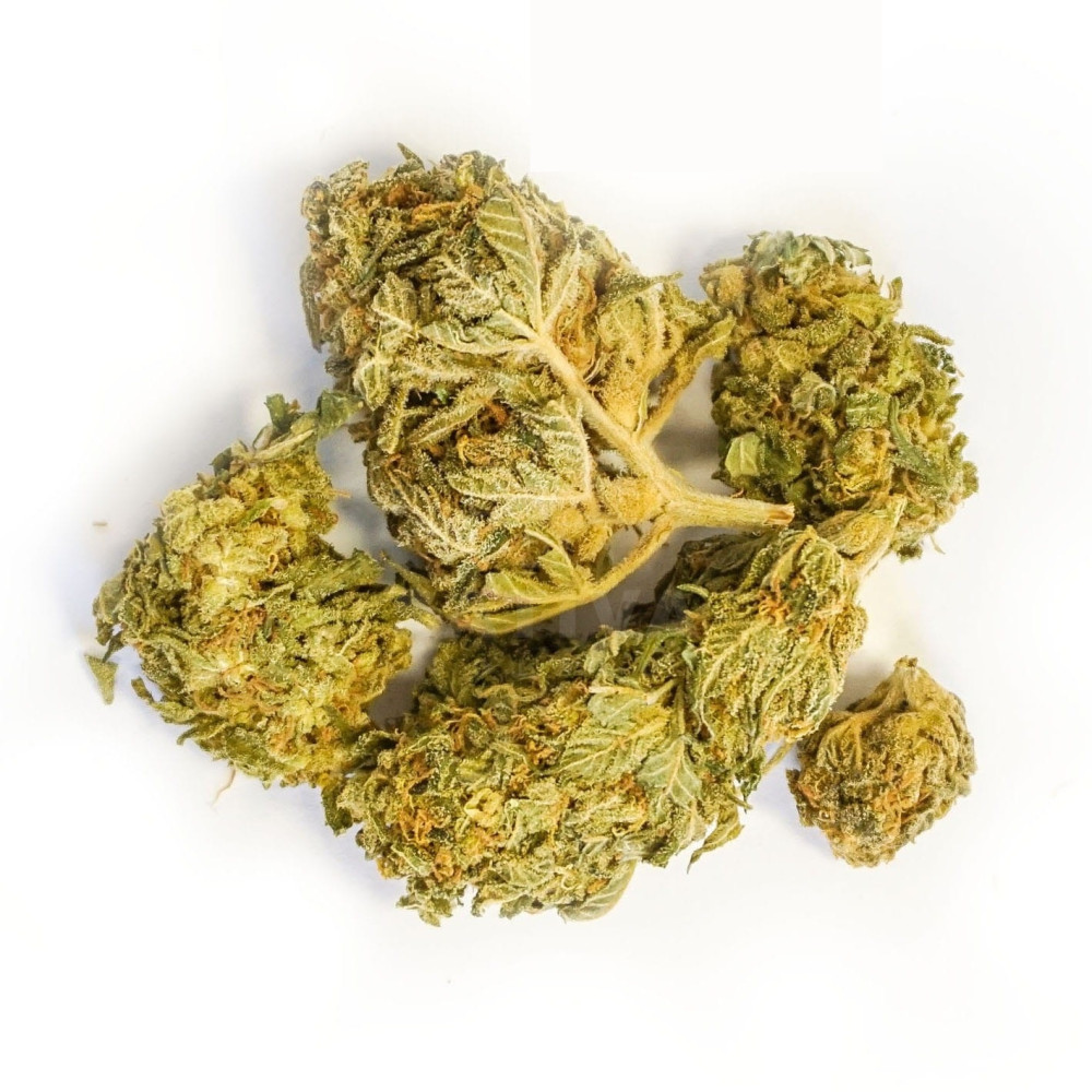 Harlequin 2g /CBD cannabis/